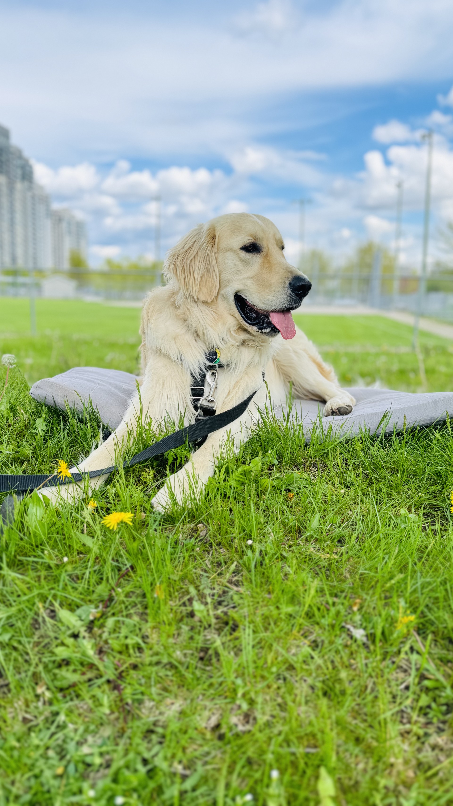 Group class participants practicing together