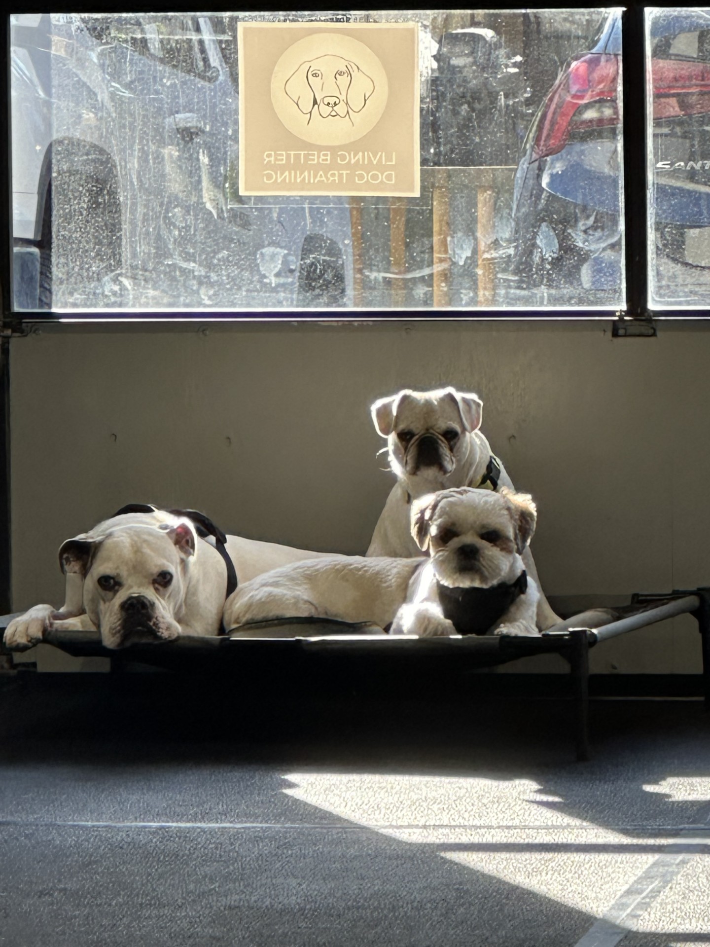 Individual training session focusing on specific behaviors