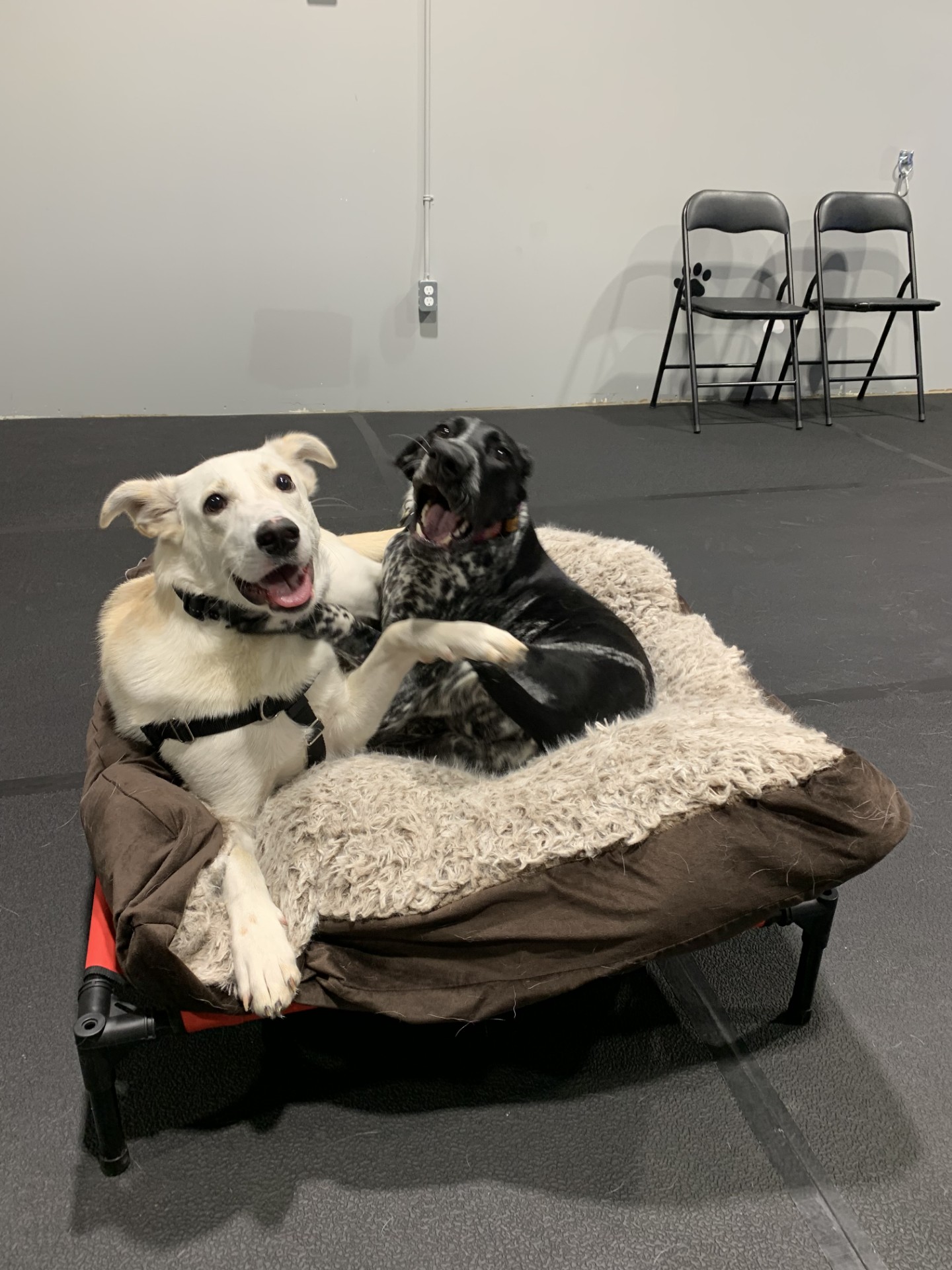 Advanced training exercise demonstration